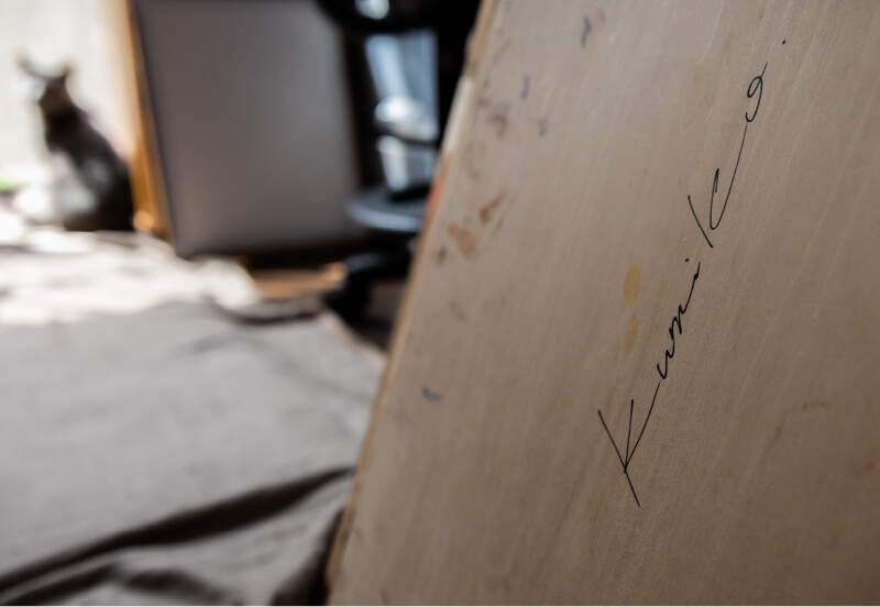 スプリングフィールドスライダーイメージ02